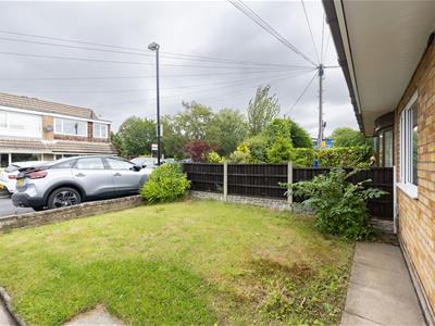 Picture 25